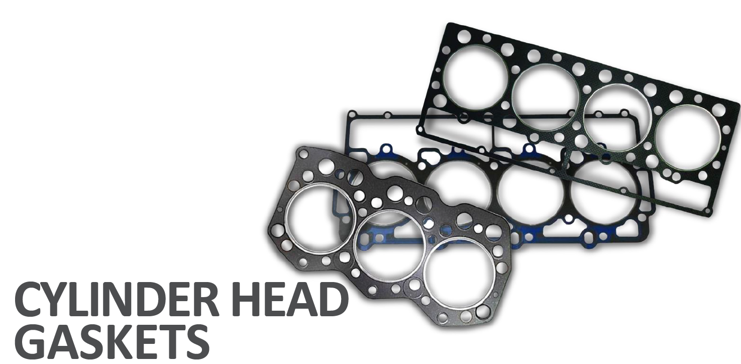 GASKETS & SEALS